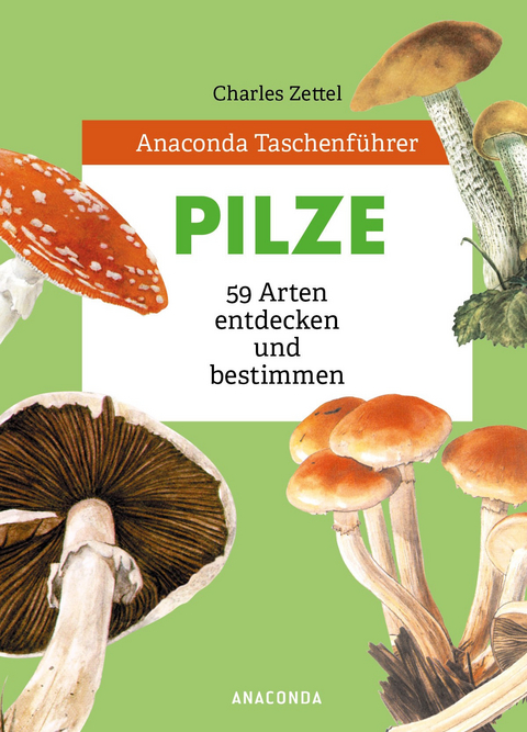 Anaconda Taschenf&uuml;hrer Pilze. 59 Arten entdecken und bestimmen - Charles Zettel