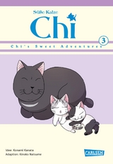 S&uuml;&szlig;e Katze Chi: Chi's Sweet Adventures 3 - Kinoko Natsume, Konami Kanata