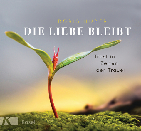Die Liebe bleibt - Doris Huber
