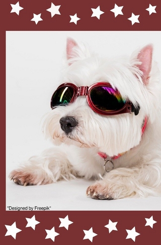 Notizbücher / Süßes Hunde Notizbuch Businessplaner Geschenkidee für Mann Frau und Kind