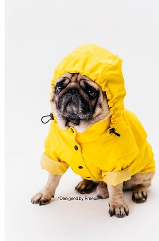 Notizbücher / Süßes Hunde Notizbuch Businessplaner Geschenkidee für Mann Frau und Kind