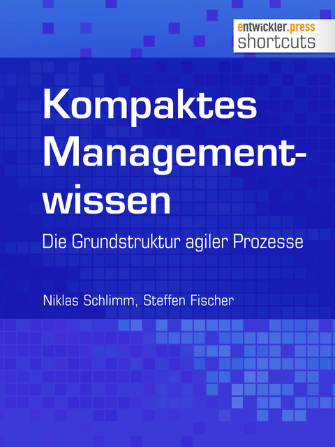 Kompaktes Managementwissen - Niklas Schlimm, Steffen Fischer
