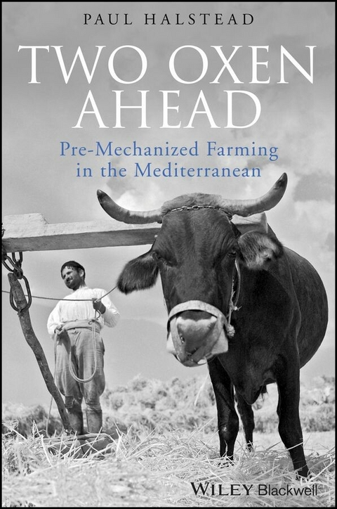 Two Oxen Ahead - Paul Halstead