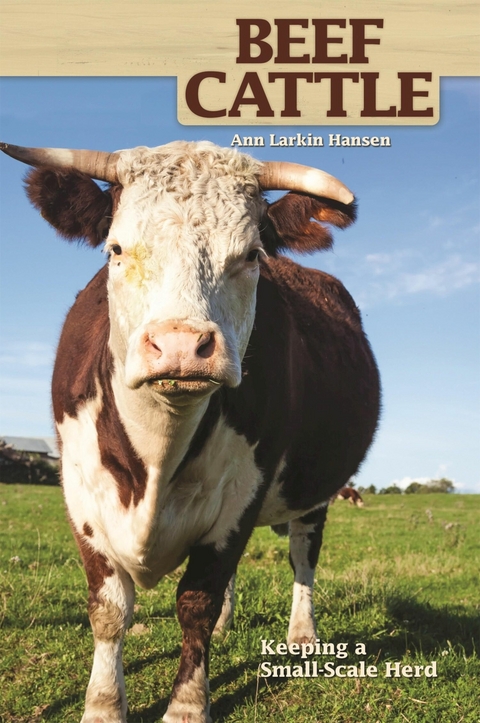 Beef Cattle - Ann Larkin Hansen