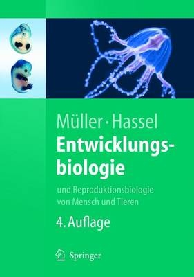 Entwicklungsbiologie -  Werner A. M&uuml;ller,  Monika Hassel