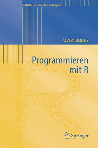 Programmieren mit R
