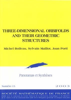Panoramas et synth&egrave;ses, n&deg; 15. Three-dimensional orbifolds and their geometric structures -  Boileau M. &amp,  Al
