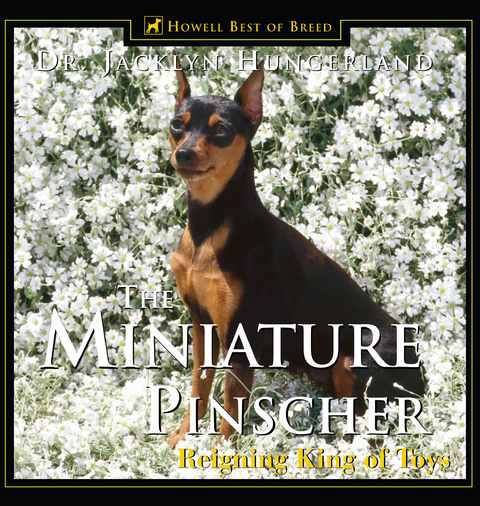 Miniature Pinscher - Jacklyn E. Hungerland