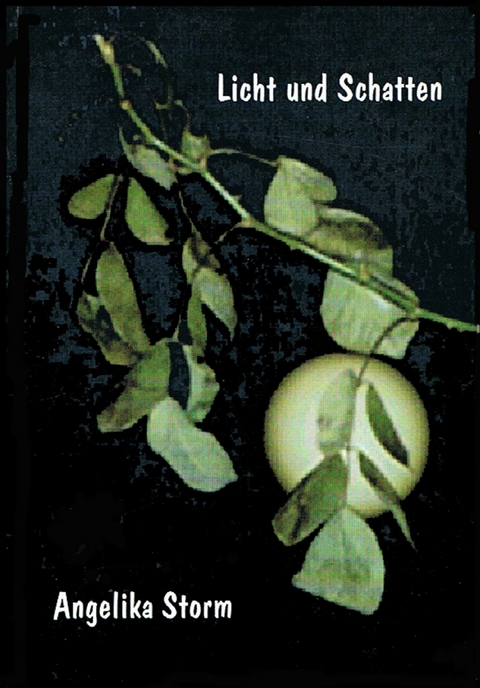 Licht und Schatten - Angelika Storm