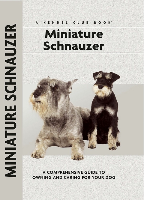 Miniature Schnauzer - Lee Sheehan