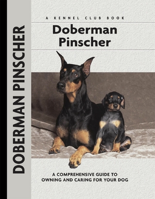 Doberman Pinscher