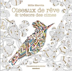 Oiseaux de rêve & trésors des cimes : une aventure à colorier