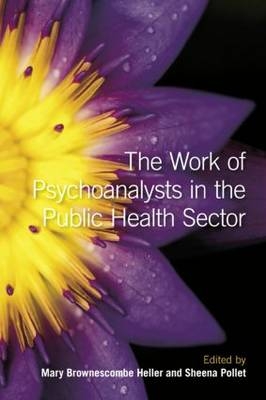 Work of Psychoanalysts in the Public Health Sector