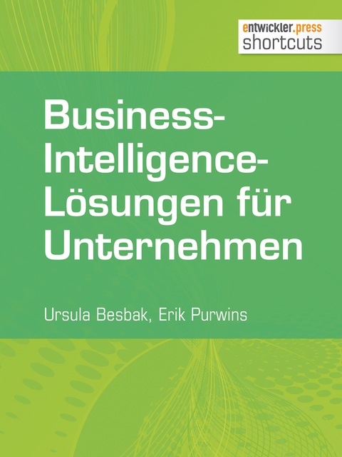 Business-Intelligence-Lösungen für Unternehmen - Erik Purwins, Ursula Besbak