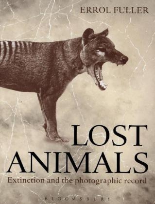 Lost Animals
