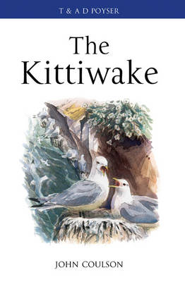 Kittiwake -  John Coulson