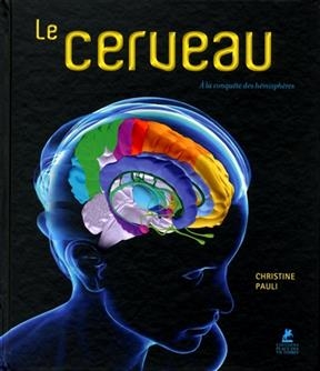 Le cerveau : à la conquête des hémisphères