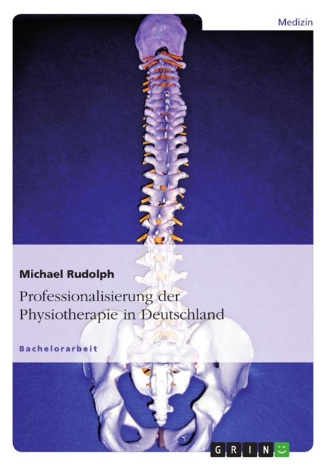 Professionalisierung der Physiotherapie in Deutschland -  Michael Rudolph
