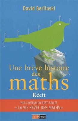 Une br&egrave;ve histoire des maths : r&eacute;cit - David Berlinski