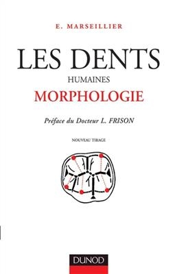 Les Dents humaines : morphologie