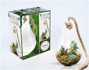 Bubble terrarium : microjardins à suspendre : conseils techniques pour composer votre bubble terrarium pas à pas