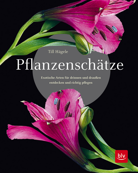 Pflanzensch&auml;tze - Till H&auml;gele