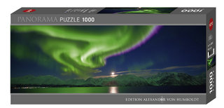 Polar Light Puzzle
