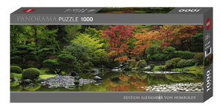 Zen Reflection Puzzle