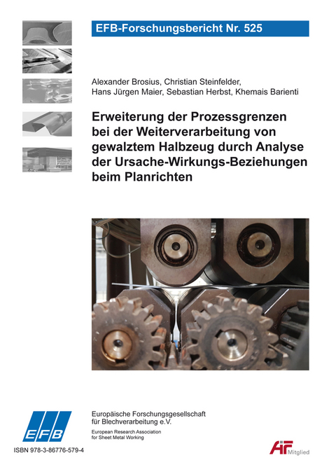 Erweiterung der Prozessgrenzen bei der Weiterverarbeitung von gewalztem Halbzeug durch Analyse der Ursache-Wirkungs-Beziehungen beim Planrichten - Alexander Brosius, Christian Steinfelder, Hans J&uuml;rgen Maier, Sebastian Herbst, Khemais Barienti