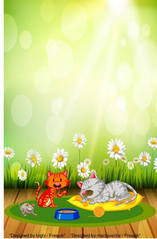 Notizbücher / Süßes Katzen Notizbuch Businessplaner Geschenkidee für Mann Frau und Kind