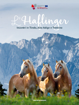 L&rsquo;Haflinger