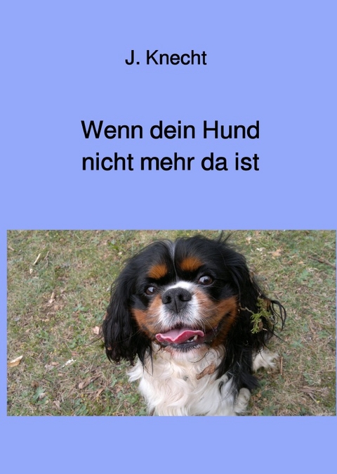 Wenn dein Hund nicht mehr da ist - J. Knecht