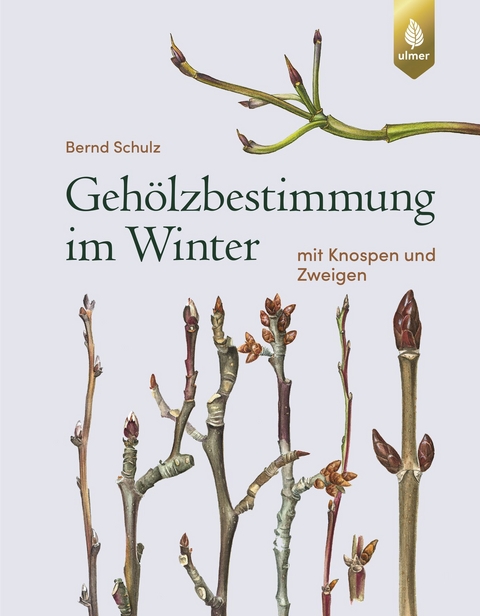 Geh&ouml;lzbestimmung im Winter - Bernd Schulz