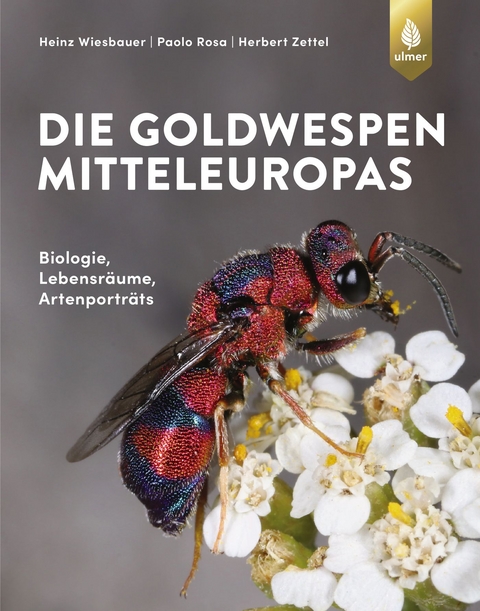 Die Goldwespen Mitteleuropas - Heinz Wiesbauer, Paolo Rosa, Herbert Zettel