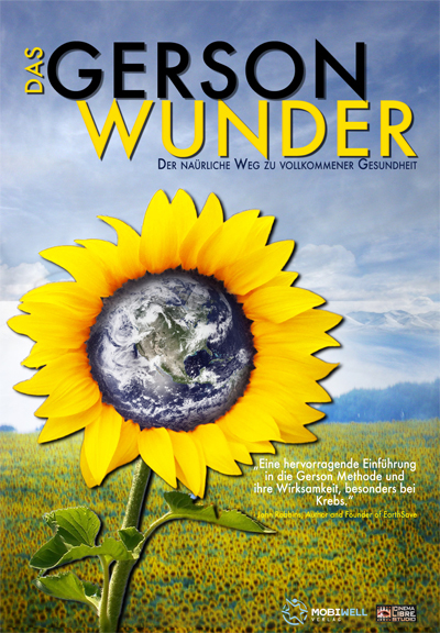 Das Gerson-Wunder - Steve Krochel