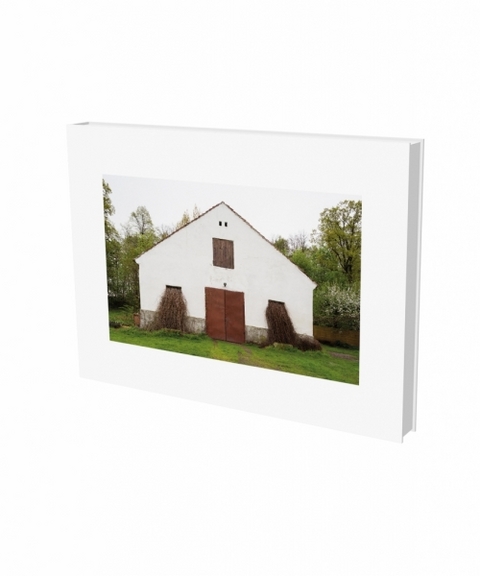 Pia Pollmanns: Die Wege der Elisa Kosch - 