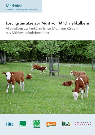 Lösungsansätze zur Mast von Milchviehkälbern
