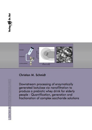 Downstream processing of enzymatically generated lactulose via nanofiltration to produce a prebiotic whey drink for elderly people - Quantification, generation and fractionation of complex saccharide solutions