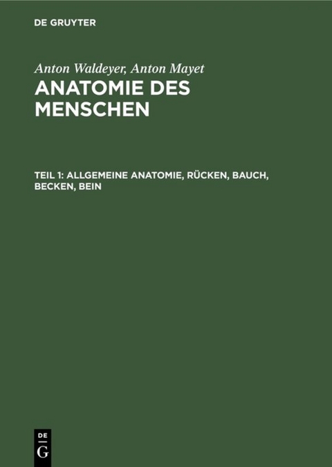 Allgemeine Anatomie, R&uuml;cken, Bauch, Becken, Bein