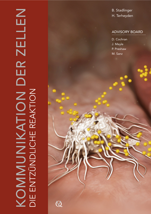 Die entz&uuml;ndliche Reaktion - Bernd Stadlinger, Hendrik Terheyden