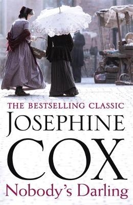 Nobody's Darling -  Josephine Cox