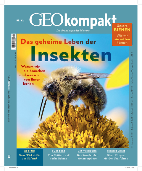 GEOkompakt / GEOkompakt 62/2020 - Das geheime Leben der Insekten - Jens Schr&ouml;der, Markus Wolff