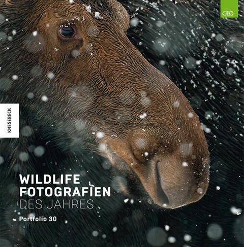 Wildlife Fotografien des Jahres &ndash; Portfolio 30 - 