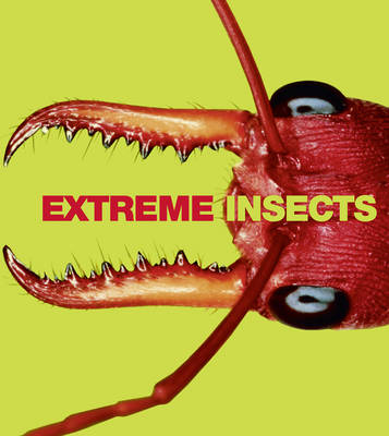 Extreme Insects -  Richard Jones