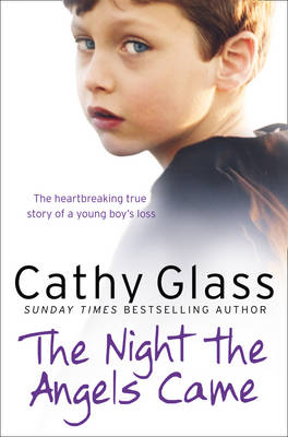 Night the Angels Came -  Cathy Glass