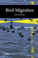 Bird Migration