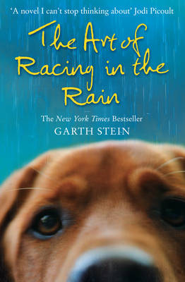 Art of Racing in the Rain -  Garth Stein
