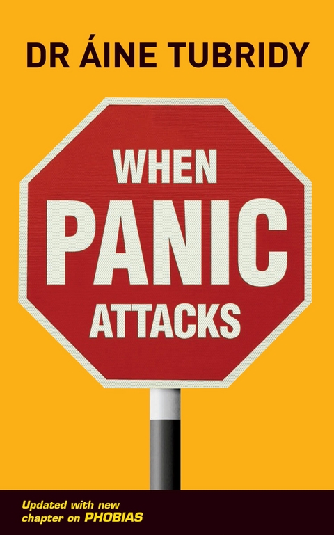 When Panic Attacks -  Aine Tubridy