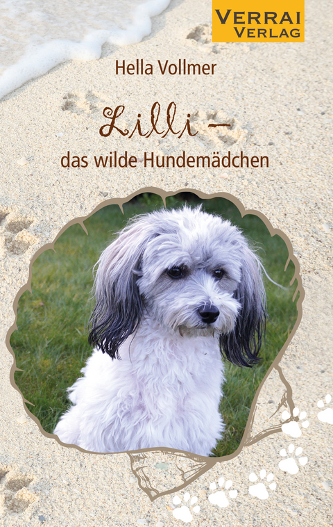 Lilli - das wilde Hundem&auml;dchen - Hella Vollmer