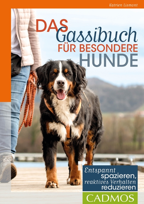Das Gassibuch f&uuml;r besondere Hunde - Katrien Lismont